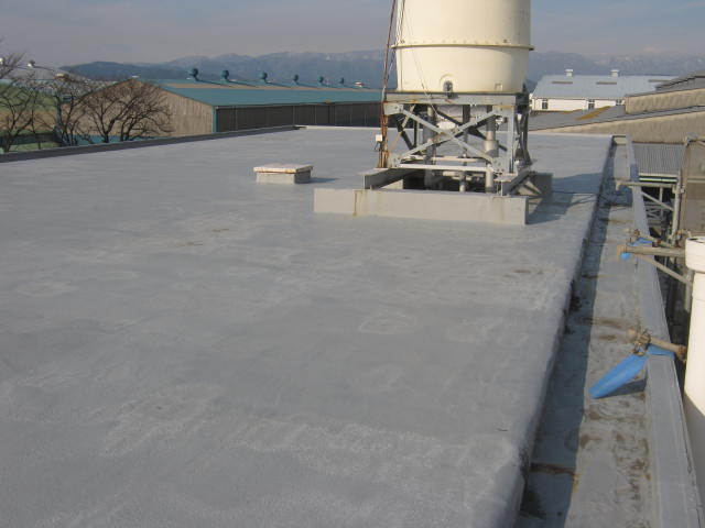 SOSEI Before - รูปที่ 2