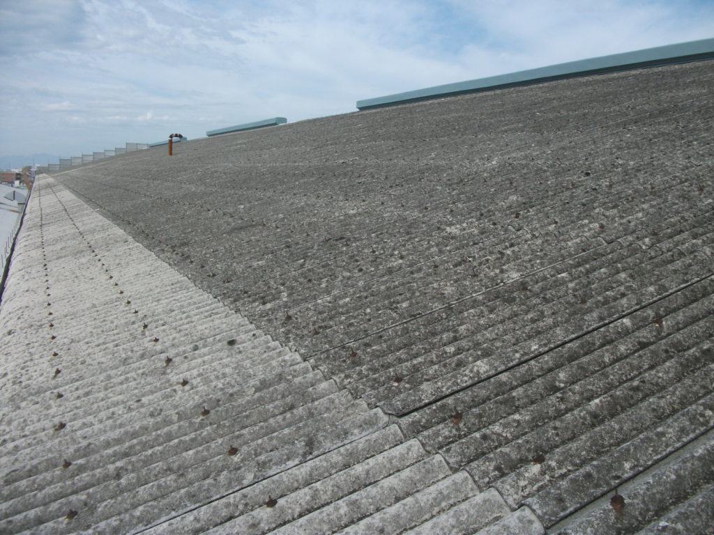 SOSEI Before - รูปที่ 1