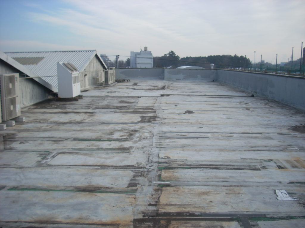 SOSEI Before - รูปที่ 4